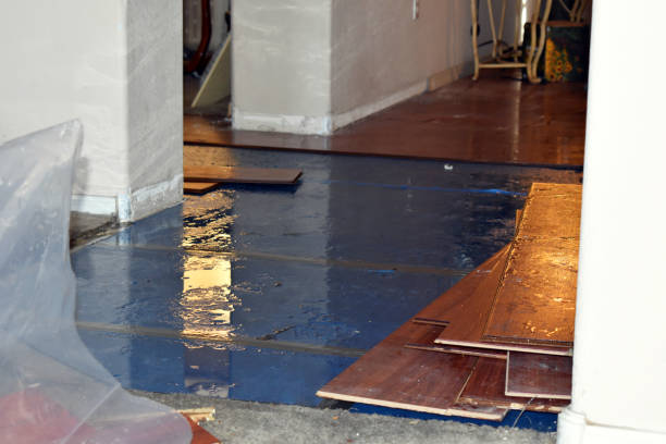 Professional Basement Flooding technician working in Angola, IN
